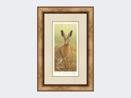 Hare-in-Mayweed-Print-Medium-Light-Burr