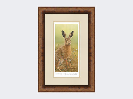 Hare-in-Mayweed-Print-Medium-Walnut-Burr