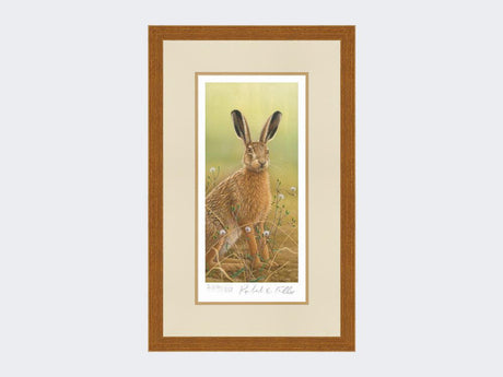 Hare-in-Mayweed-Print-Rustic-Country