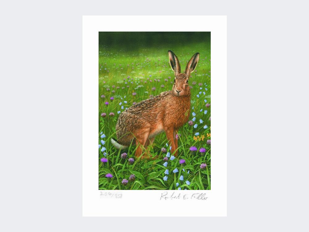 Hare-in-Wildflowers-Print-Loose-Print-Only