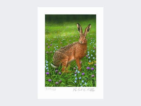 Hare-in-Wildflowers-Print-Loose-Print-Only