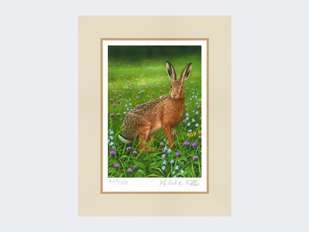 Hare-in-Wildflowers-Print-Mounted-Print-Only