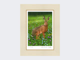 Hare-in-Wildflowers-Print-Mounted-Print-Only