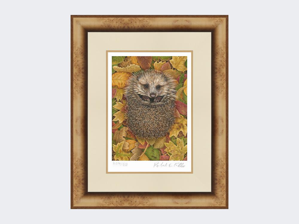 Hedgehog-in-Autumn-Leaves-Print-Medium-Light-Burr