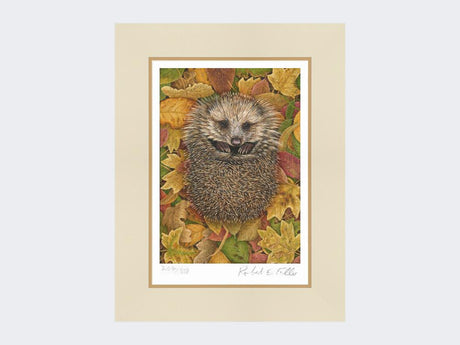 Hedgehog-in-Autumn-Leaves-Print-Mounted-Print-Only