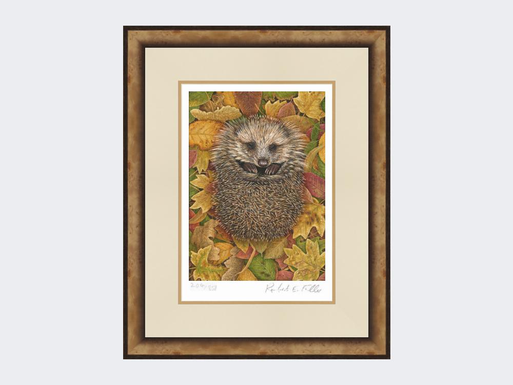 Hedgehog-in-Autumn-Leaves-Print-Small-Light-Burr