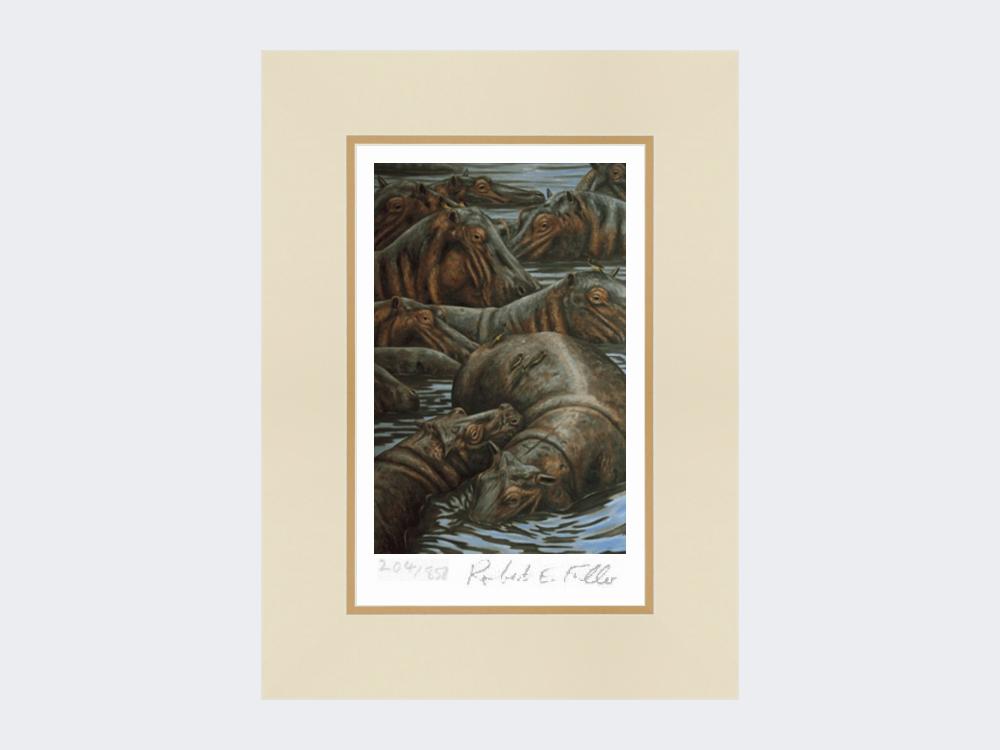 Hippos-Print-Mounted-Print-Only