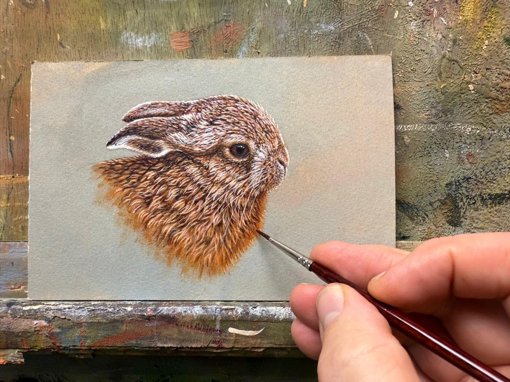 Young leveret | Original Painting