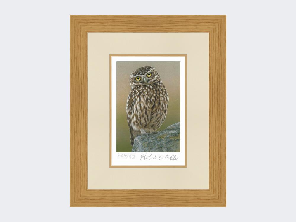 Inquisitive-Little-Owl-Print-Light-Oak