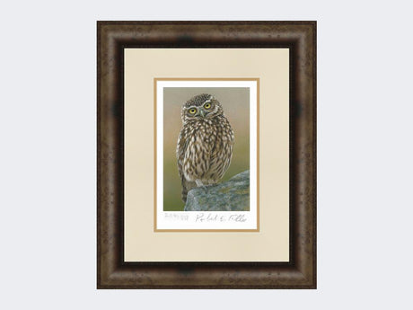 Inquisitive-Little-Owl-Print-Medium-Dark-Grey-Burr