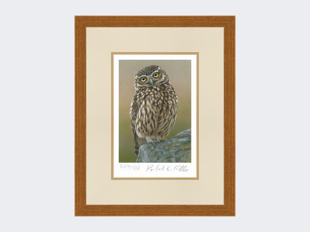 Inquisitive-Little-Owl-Print-Rustic-Country