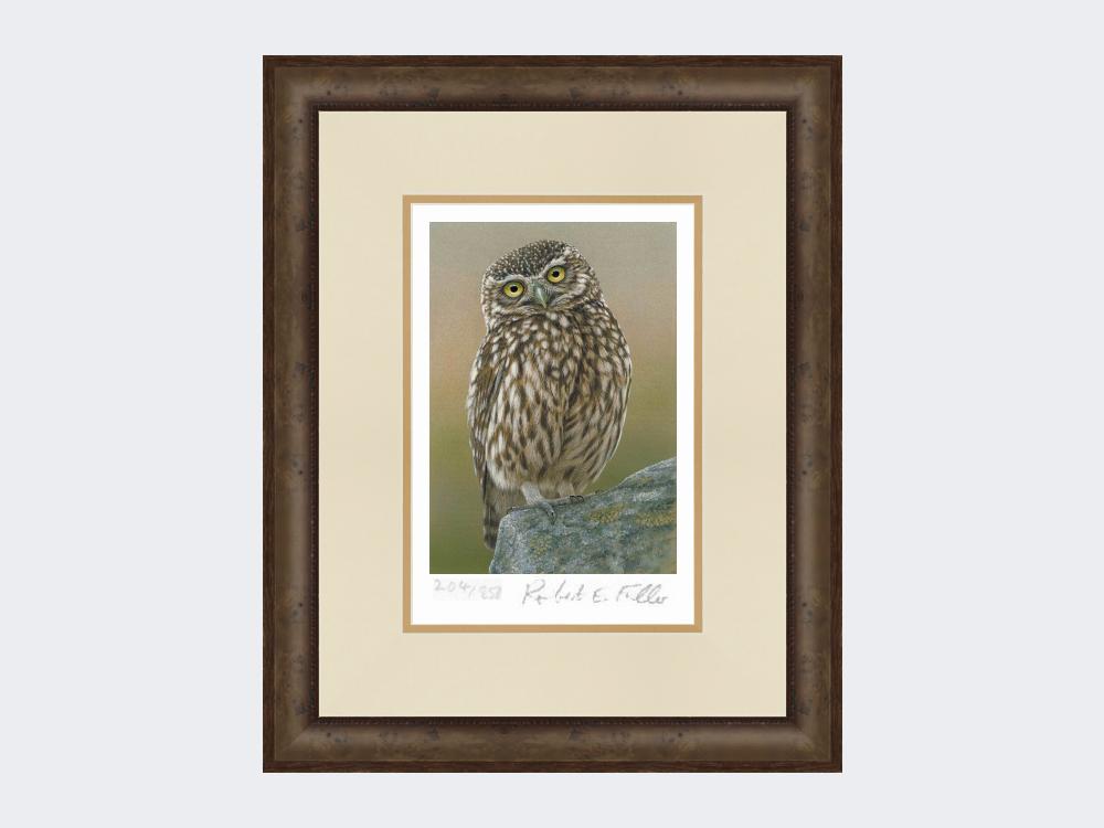 Inquisitive-Little-Owl-Print-Small-Dark-Grey-Burr