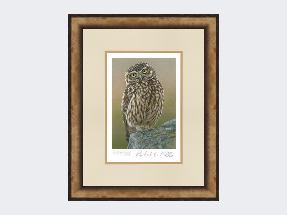 Inquisitive-Little-Owl-Print-Small-Light-Burr