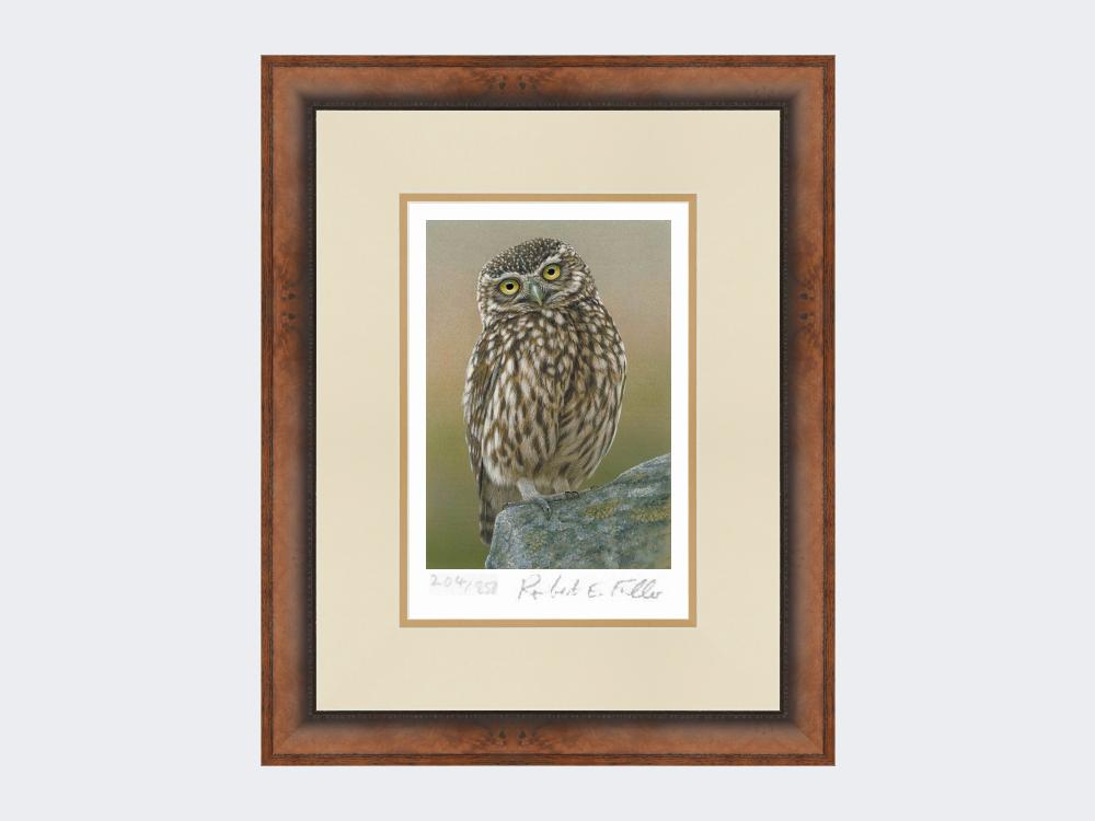 Inquisitive-Little-Owl-Print-Small-Walnut-Burr