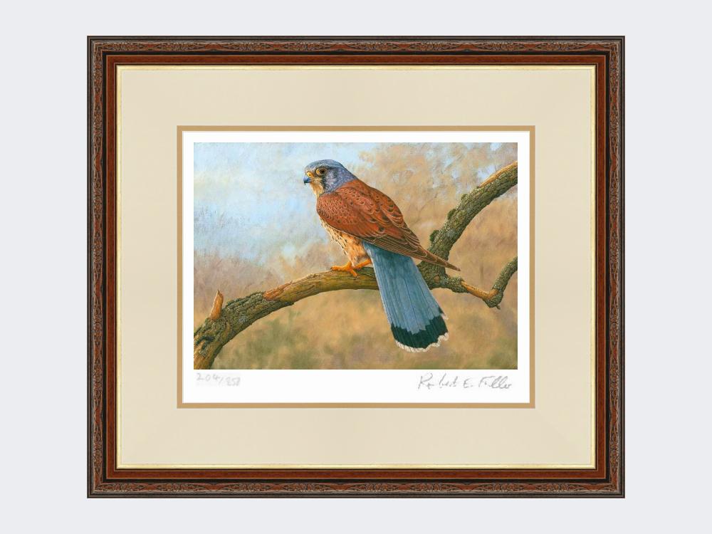 Kestrel-Limited-Edition-Print-Harvest-Twist