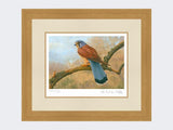 Kestrel-Limited-Edition-Print-Light-Oak