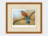 Kestrel-Limited-Edition-Print-Rustic-Country