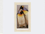 King Penguin Pair | Limited Edition Art Print