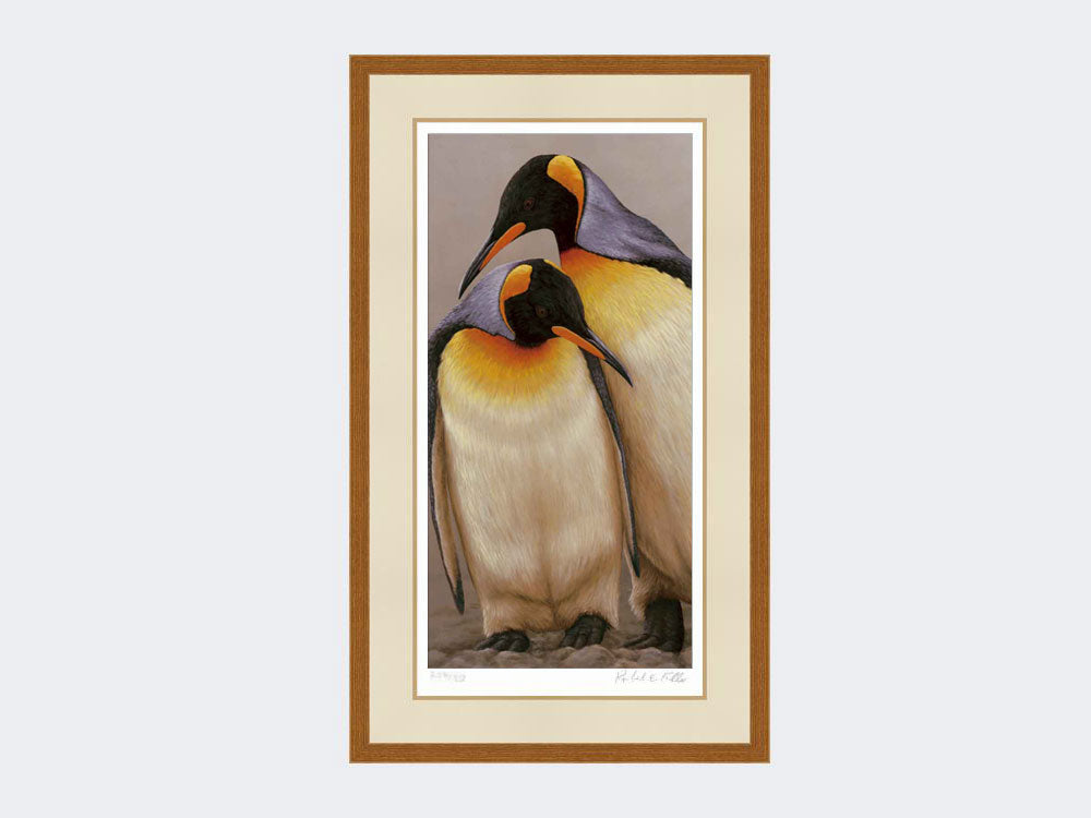 King Penguin Pair | Limited Edition Art Print