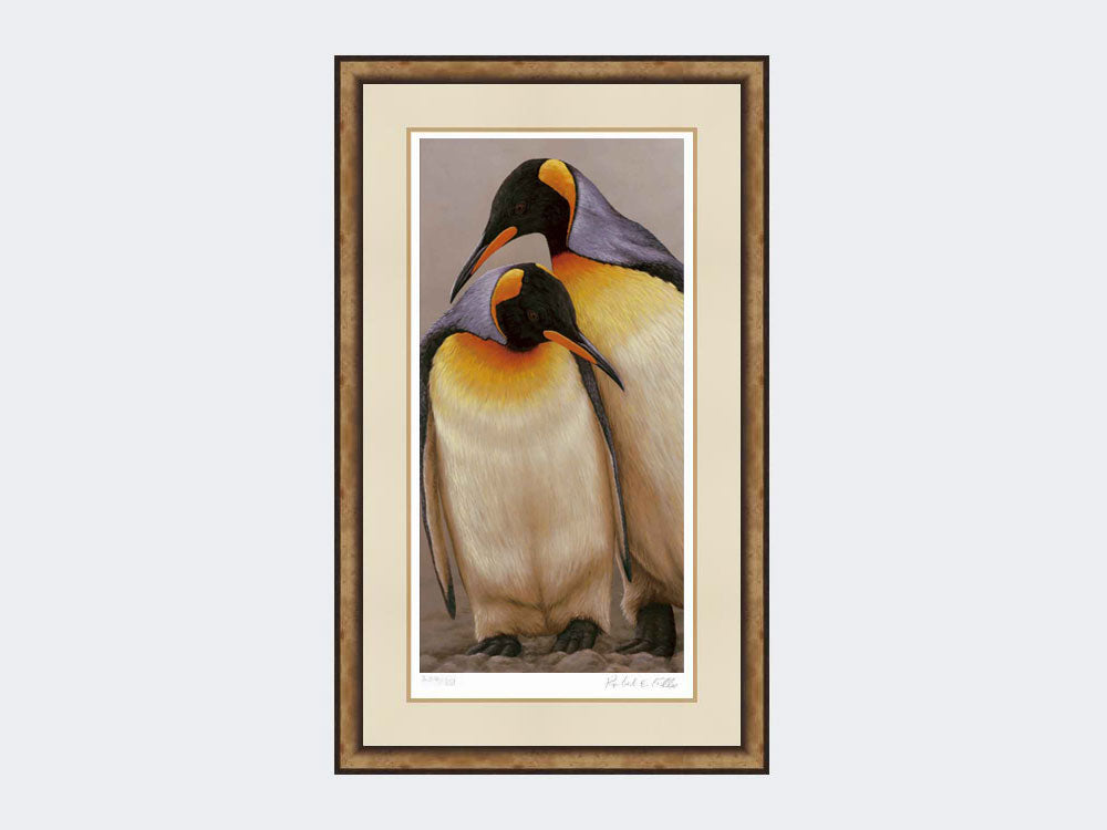 King Penguin Pair | Limited Edition Art Print