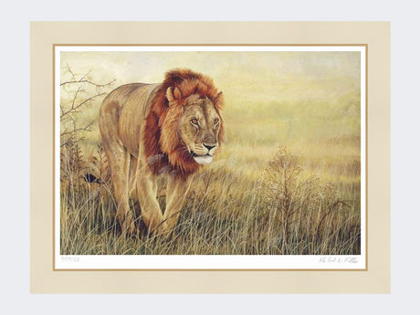 King-of-Savute-Print-Mounted-Print-Only