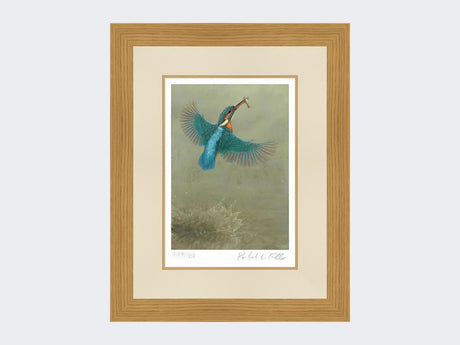 Kingfisher-a Splash-of-Colour-Print-Light-Oak