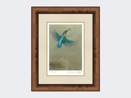 Kingfisher-a Splash-of-Colour-Print-Medium-Walnut-Burr