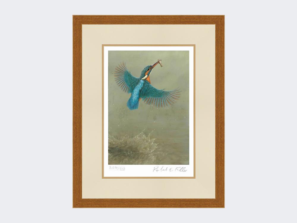 Kingfisher-a Splash-of-Colour-Print-Rustic-Country