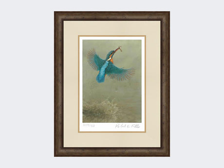 Kingfisher-a Splash-of-Colour-Print-Small-Dark-Grey-Burr