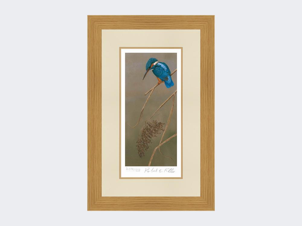 Kingfisher-on-Rushes-Print-Light-Oak