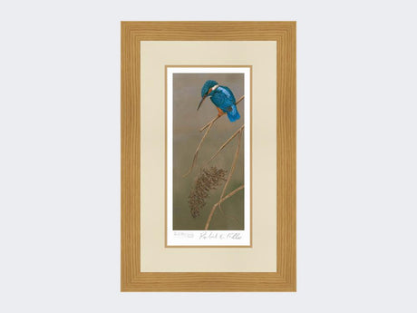 Kingfisher-on-Rushes-Print-Light-Oak