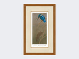 Kingfisher-on-Rushes-Print-Rustic-Country