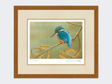 Kingfisher-on-Willow-Print-Rustic-Country