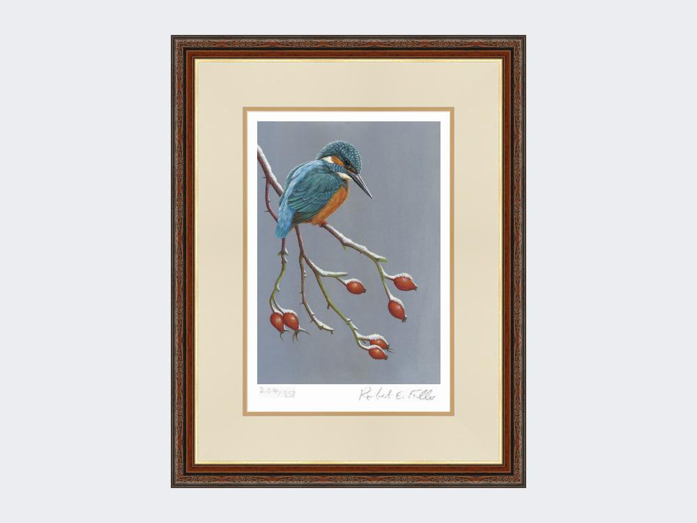 Kingfisher-the-Winter-Watcher-Print-Harvest-Twist