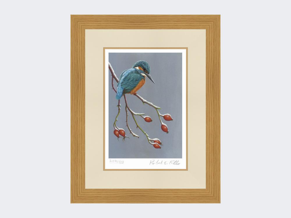 Kingfisher-the-Winter-Watcher-Print-Light-Oak