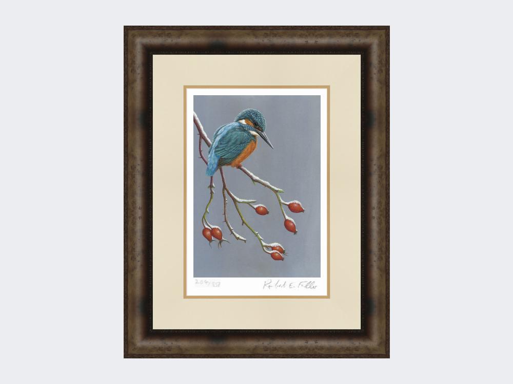 Kingfisher-the-Winter-Watcher-Print-Medium-Dark-Grey-Burr