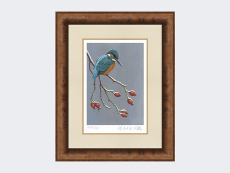 Kingfisher-the-Winter-Watcher-Print-Medium-Walnut-Burr