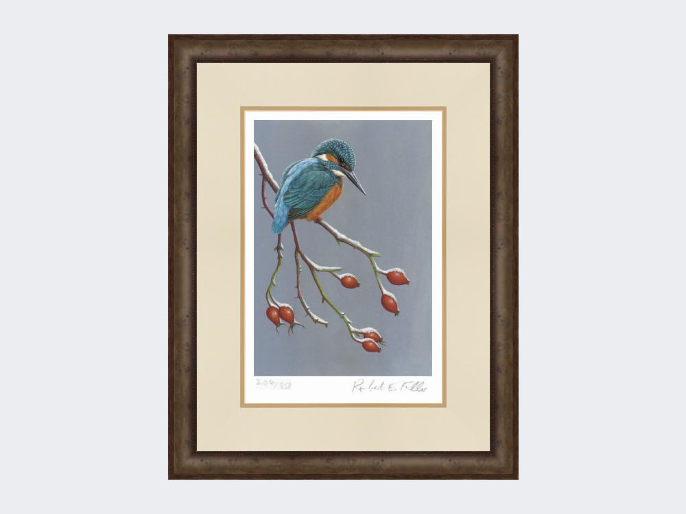 Kingfisher-the-Winter-Watcher-Print-Small-Dark-Grey-Burr