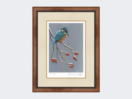 Kingfisher-the-Winter-Watcher-Print-Small-Walnut-Burr