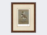 Lapwing-Chick-Limited-Edition-Print-Harvest-Twist