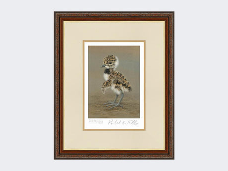 Lapwing-Chick-Limited-Edition-Print-Harvest-Twist