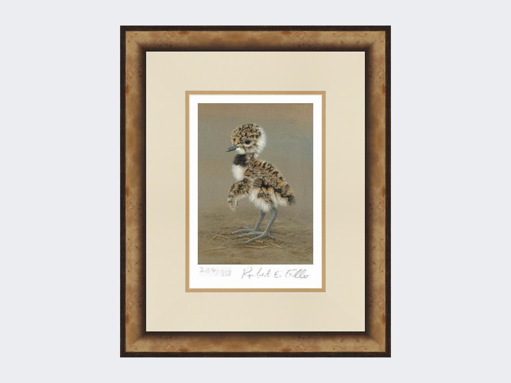 Lapwing-Chick-Limited-Edition-Print-Small-Light-Burr