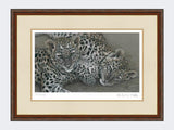 Leopard-Cubs-Limited-Edition-Print-Harvest-Twist