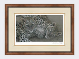 Leopard-Cubs-Limited-Edition-Print-Small-Walnut-Burr