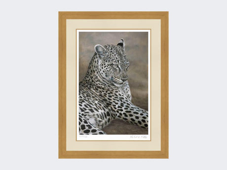 Leopard-of-Londolozi-Light-Oak