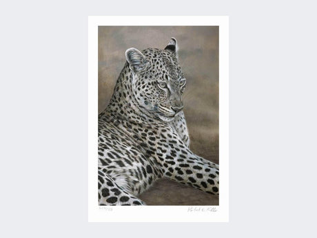 Leopard-of-Londolozi-Loose-Print-Only