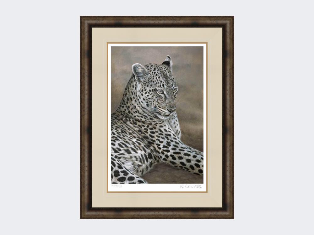 Leopard-of-Londolozi-Medium-Dark-Grey-Burr