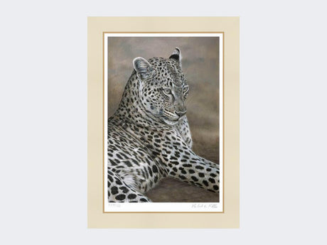 Leopard-of-Londolozi-Mounted-Print-Only