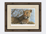 Leopard-on-the-Lookout-Medium-Dark-Grey-Burr