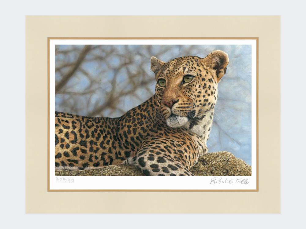 Leopard-on-the-Lookout-Mounted-Print-Only